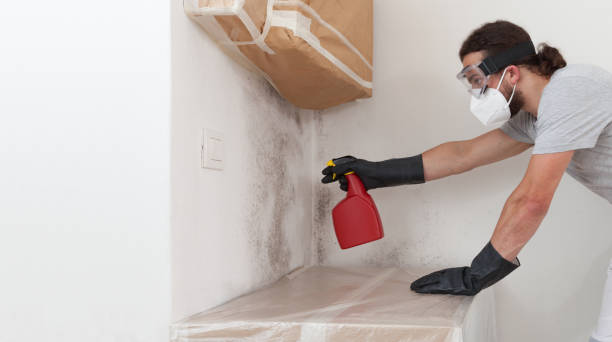 Professional Bathroom Mold Removal technician working in Oxon Hill, MD